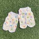 디자인바이펫 이미지