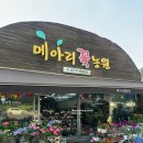 자이꽃농원