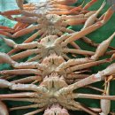 소영횟집 - 남해군 미송로 46 | 소영횟집