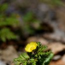 이마당약수터 이미지