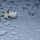 2396 Daum카페