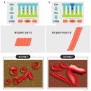 이석신 | 의약학(醫藥學)Medicine and Pharmacy : 정신과학(精神科學)Psychiatry ⇒ 신경생화학 (神經生化學...