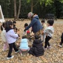 대청 유아숲체험원 이미지
