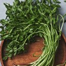 희영농장 이미지