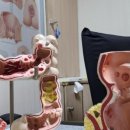 일산연세의원 이미지