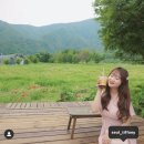 자연상회 - 예산군 벚꽃로308번길 45-7 | 자연상회