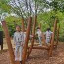 정관피올라유치원 이미지