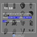 씨씨씨 헤어(CCC 헤어)