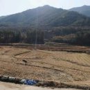 주암공인중개사사무소 이미지