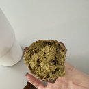 씨유(CU) 수원세종점 | 대전 두바이 쫀득쿠키 비교