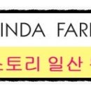 안경스토리 이미지