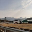 금산1리 이미지