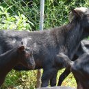 누리농장 이미지