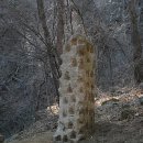 가는곡2 이미지