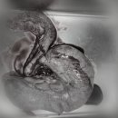 다란동물병원 이미지