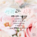 양마리아 이미지