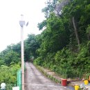사과향기캠핑장 | 부산근교캠핑장 밀양 사과향기 캠핑장 사이트11,12번후기
