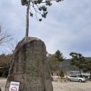 완주 솔밭 캠핑장 솔직 리뷰｜사이트 넓고 깔끔한 캠핑장, 봄 캠핑 추천 장소 (3/28-29 )