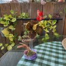 엄마농원 이미지