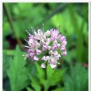 뻥튀기 아저씨 이미지