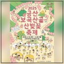 2025 금산 보곡산골 산벚꽃 축제 총정리