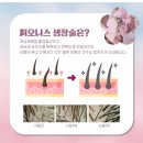 희헤어사랑 - 동구 동촌로 42 | 희헤어사랑
