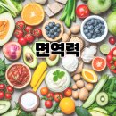 행정사천세철사무소 | 가을철 면역력 높이는 음식 10가지 🍎 감기 예방과 피로회복에 좋은 영양식 추천