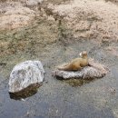 신상동 인공습지 이미지