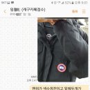 캐나다구스세탁 색수정 행복드림세탁 리얼후기