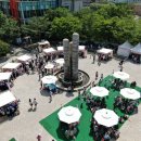 장미의거리12 이미지