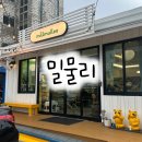 귀여운 느낌의 스콘 맛집 애견동반 가능한 제주도 서귀포 중문카페 밀물리