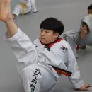 안성 용인대 가온누리 태권도 이미지