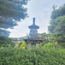 금강로1576번길1 | 서울근교나들이 국립수목원 육림호카페, 주변맛집 하박사해물칼국수