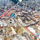 솜방망이 이미지