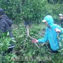 서홍동 주민센터 이미지