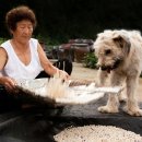 신계할머니 이미지