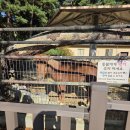 추모의집(2관) 공중화장실 | 청주동물원 청주랜드 놀이기구 청주 아이와 가볼 만한 곳