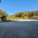 겨자씨 1농장 이미지