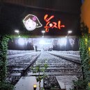 광명 밤일마을 술집 &#34; 봉자다방 &#34; 완전 솔직후기!