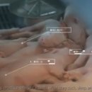 중앙유통농장 이미지