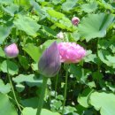 원식농장 이미지