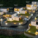 프렌즈 애견 이미지