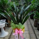 선산농협주유소 이미지