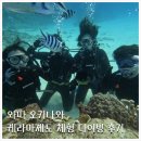 와따 오키나와 케라마제도 스쿠버다이빙 투어 후기