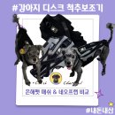 고려보조기 | 강아지 척추보조기 은해펫 여름용 매쉬소재와 네오프랜 타입 장단점 비교와 관리법