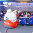 주식회사데이터씨 | 일본 도쿄 디즈니랜드 티켓 예약 가격 디즈니씨 파크호퍼 DPA