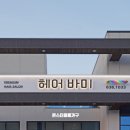 바미헤어 이미지