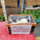 아차산 두부 맛집 - 두루치기와 감자전이 맛있었던 선인장두부