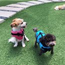 구포동물병원 이미지