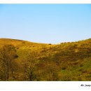 중광농장 이미지